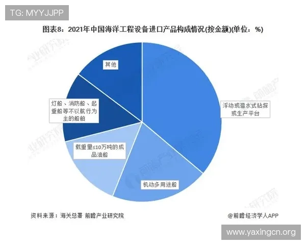 2019年中国船舶收购亚星锚链对企业国际化战略的积极影响与未来展望