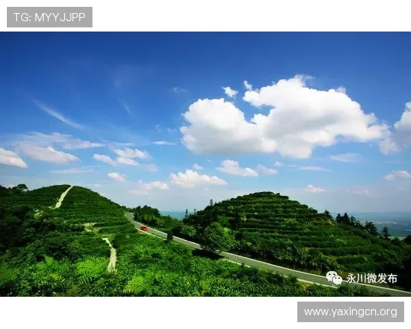 亚星国际旅游提供的特色旅游产品满足不同年龄层的出行需求